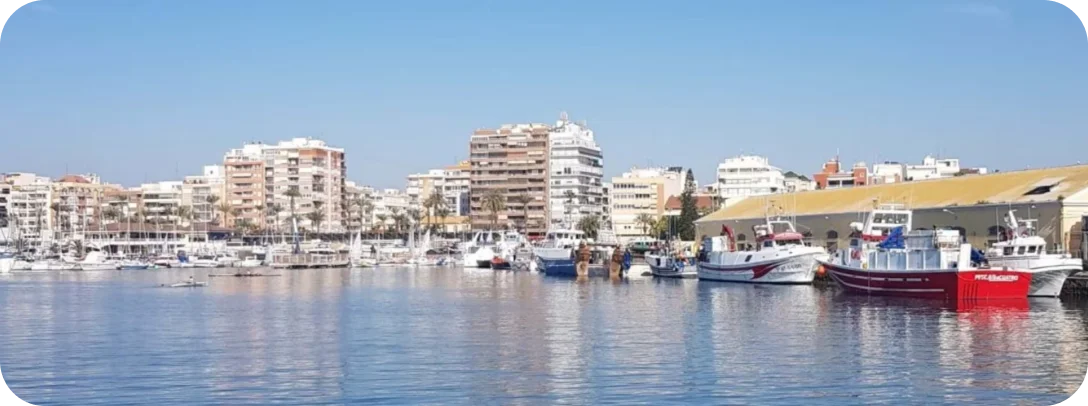 Costa del Sol i Costa Blanca – różnice, podobieństwa i rynek nieruchomości